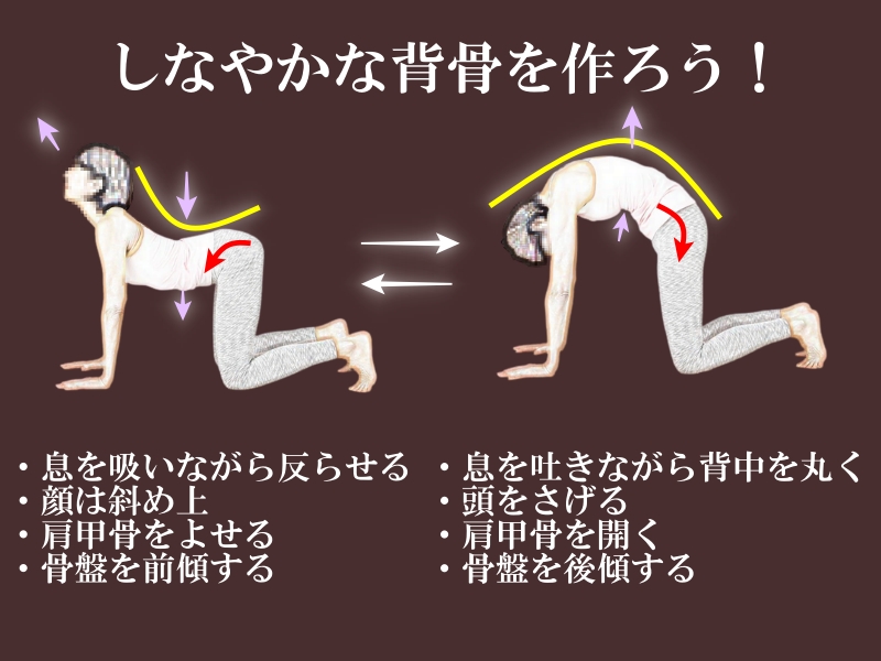 背中ストレッチ