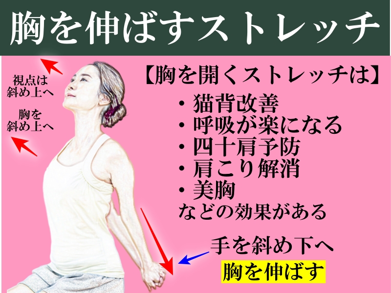 胸を開くストレッチの姿勢