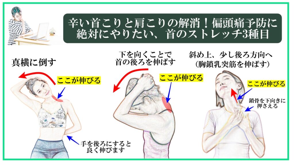 首のストレッチを行う様子