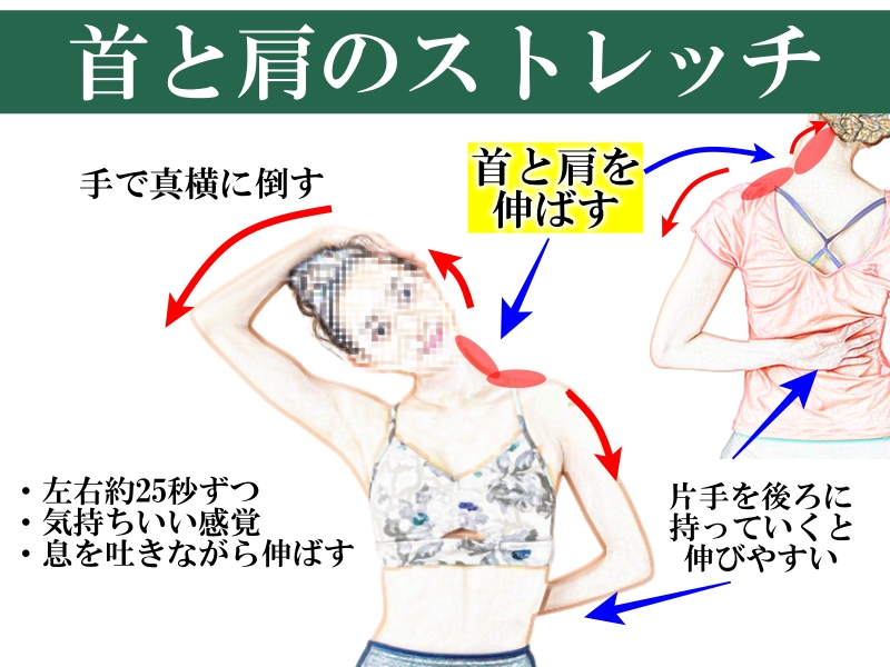 首ストレッチ